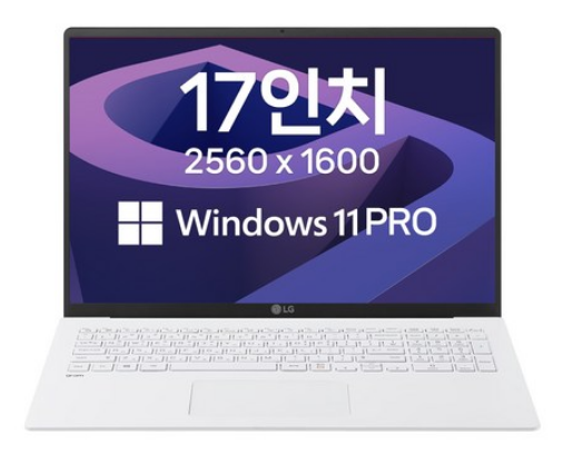 LG 그램17 11세대 i5 윈도우11프로